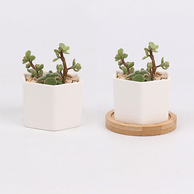 Mini Indoor Ceramic Flower Pot